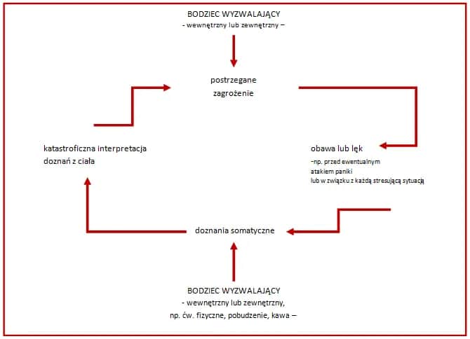 Jak przerwać błędne koło lęku i odzyskać spokój w życiu